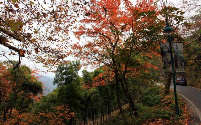 郑州出发安徽浙江7日自驾游：徽州秋韵-千岛湖-莫干山低奢养生休闲7日精品自驾