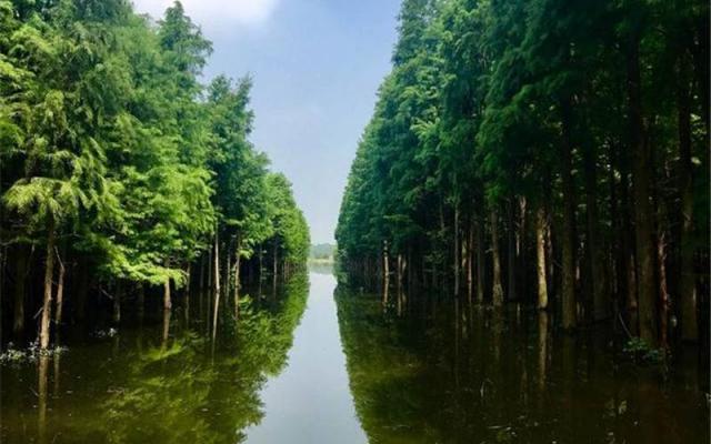 武汉出发仙桃2日自驾游：京山空山洞-莫愁村-沙洋油菜花-仙桃梦里水乡2天踏青游