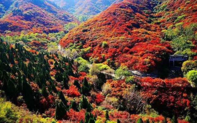 北京出发河北山东8日自驾：石头村、西柏坡、白鹿温泉、王硇村8日自驾