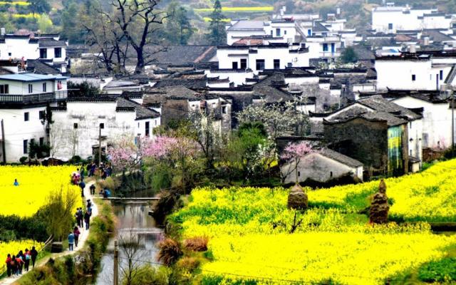 山东出发自驾江西婺源赏花5日游：婺源-天柱山-三河古镇-寿县古城婺源深度游