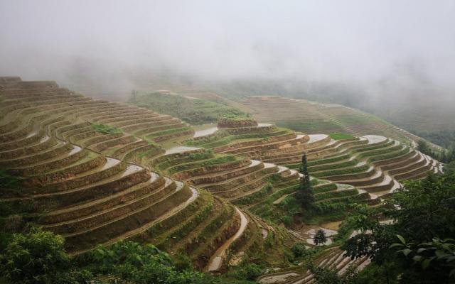 广东出发五一广西三江龙脊4日自驾游：三江程阳风雨桥-侗寨-龙脊梯田4日自驾游