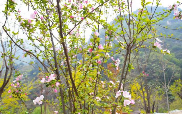 北京周边2日自驾游：五岳寨-漫山花溪谷河北2日自驾游