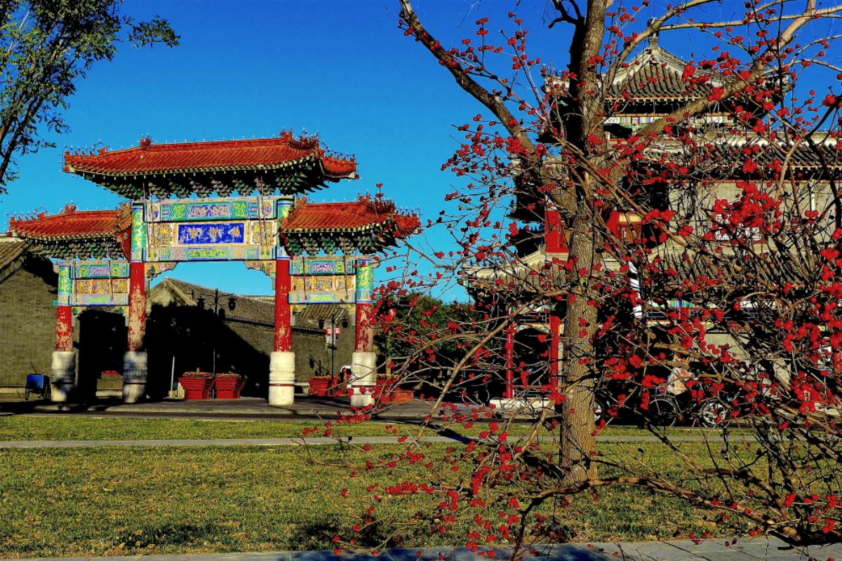 北京出发天津2日自驾游：杨柳青古镇、辛口镇采摘沙沃萝卜、天津热带植物观光园2日自驾