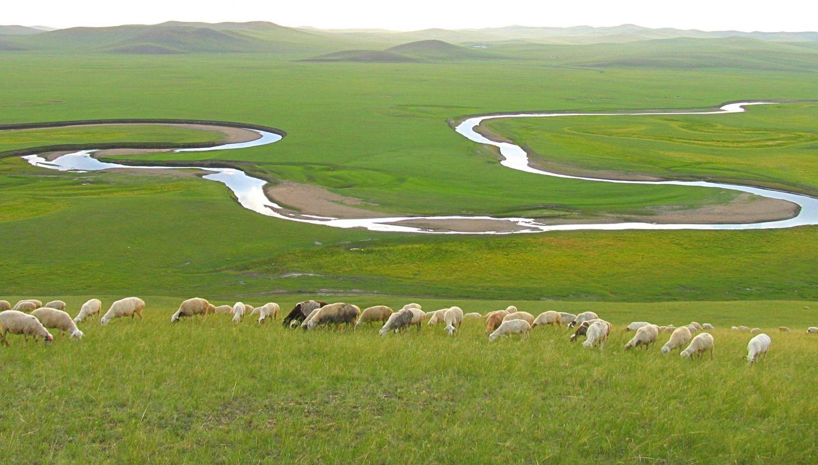 哈尔滨集合12日中俄边境自驾游：呼伦贝尔-北极村-莫日格勒河12日穿越东北中俄边境深度自驾游