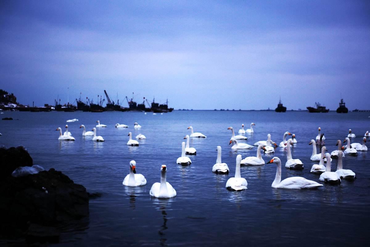 北京出发山东5日自驾：蓬莱阁-养马岛-烟墩角-青州古城日自驾