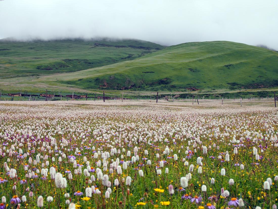 成都出发川藏线包车游：川藏318-泸定桥-姊妹湖-天路72拐-然乌湖-拉萨9日游