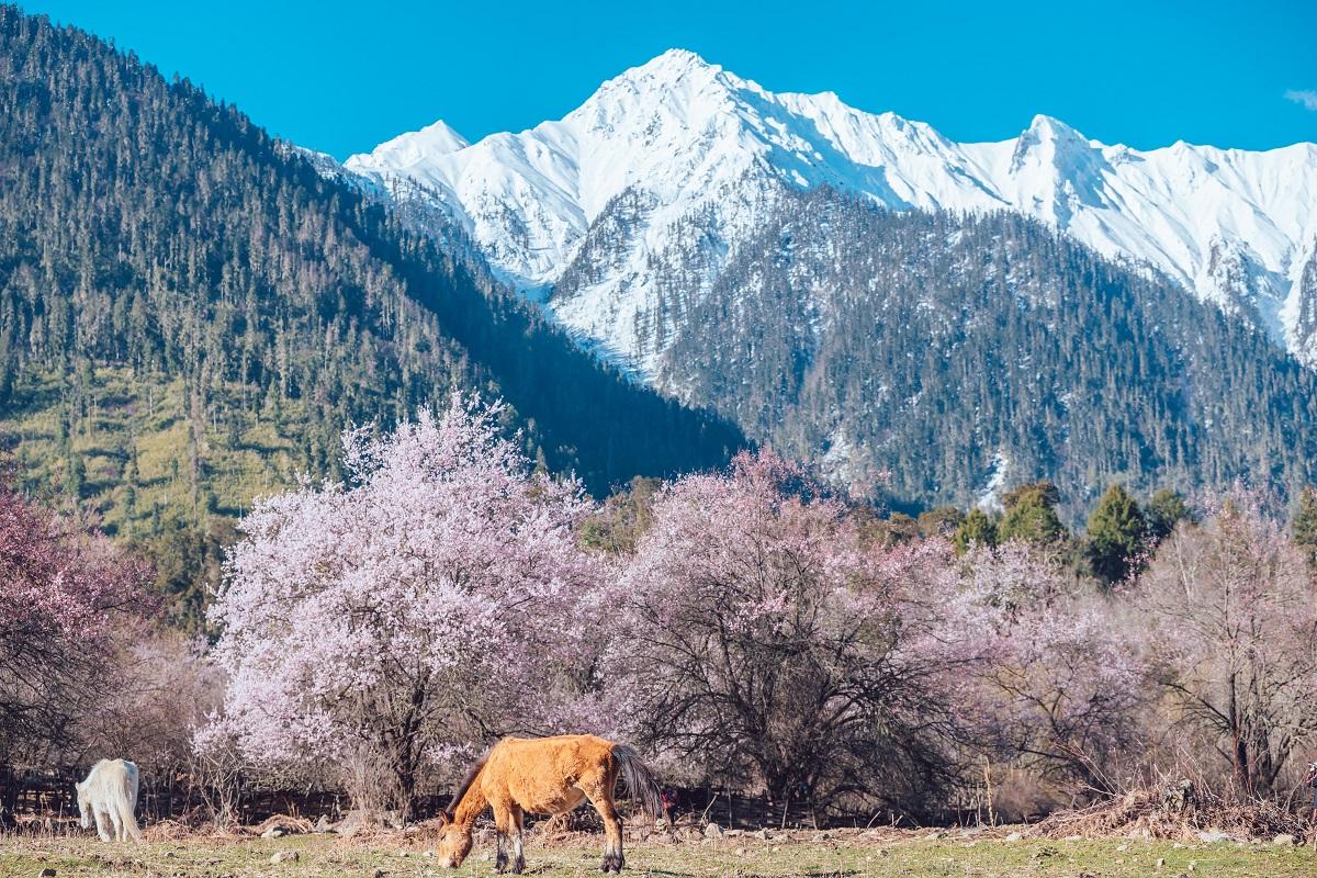 马德里集结西班牙葡萄牙16天落地自驾：马德里-托莱多-昆卡-巴塞罗那-里斯本-塞维利亚16天自驾