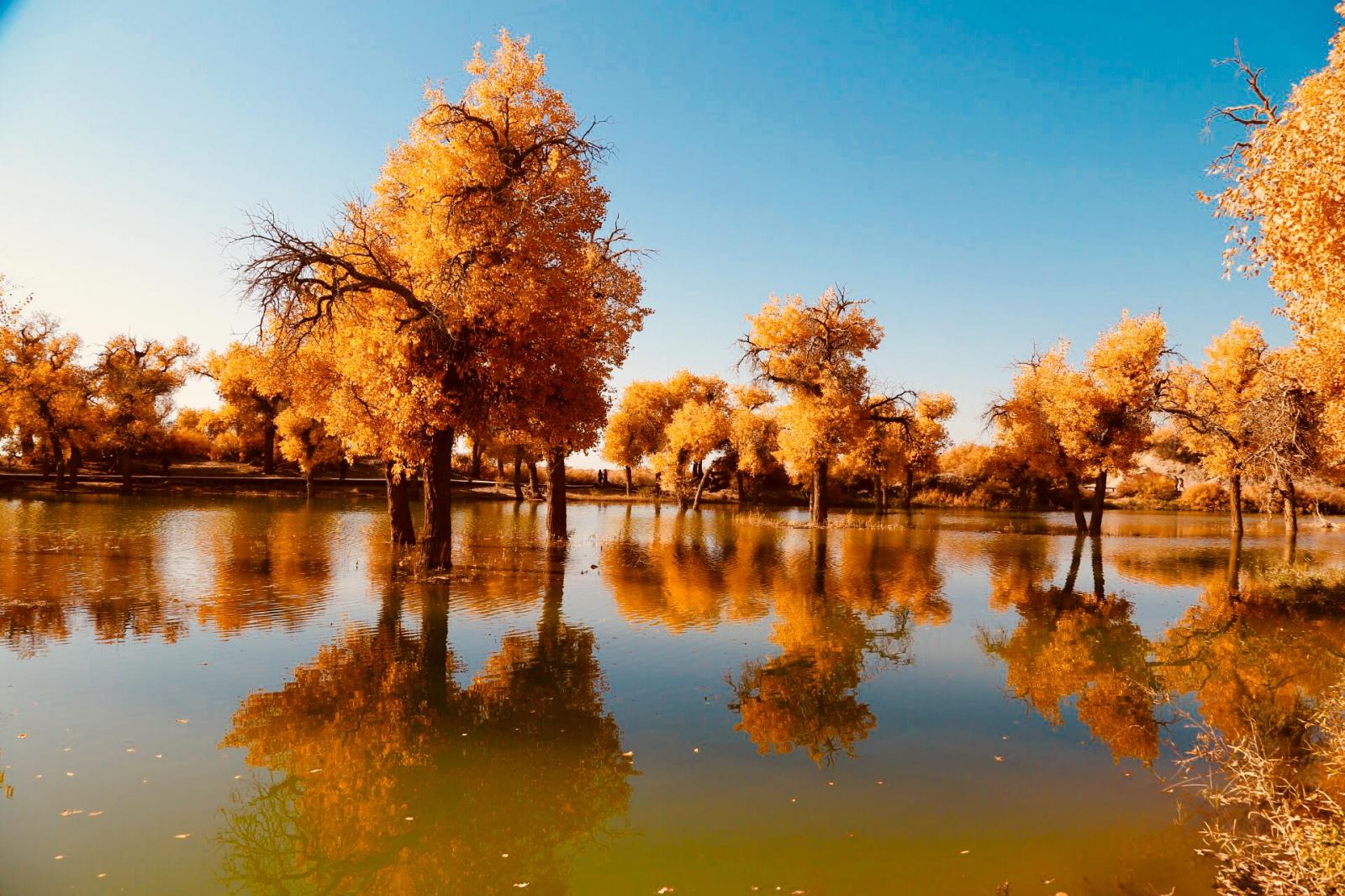 乌鲁木齐集结金秋邂逅南疆10日自驾：塔里木胡杨林-盘龙古道-喀什-帕米尔高原-沙漠公路-温宿大峡谷10日游