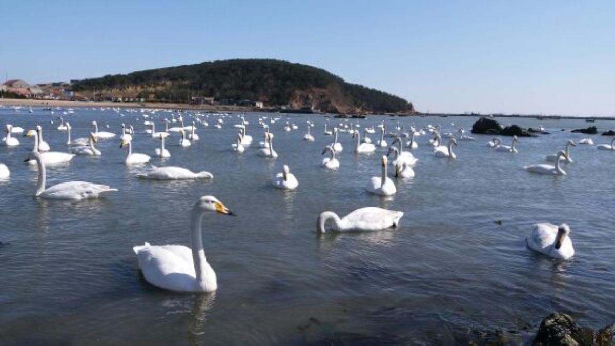 北京出发山东4日自驾游：烟墩角-那香海国际旅游度假区-青州古城4日自驾游