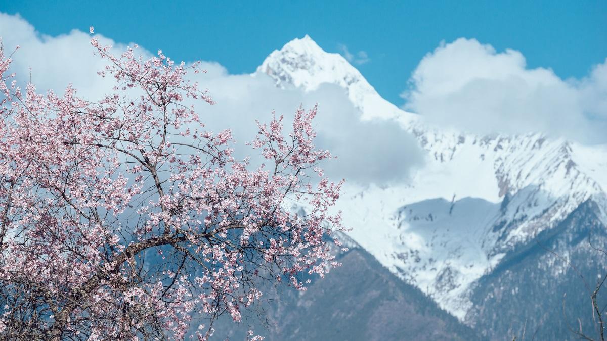 成都出发看林芝桃花14日自驾：桃花沟-泸定桥-然乌湖-羊湖-布宫-大昭寺-纳木错-塔尔寺-西宁14日自驾（经济）