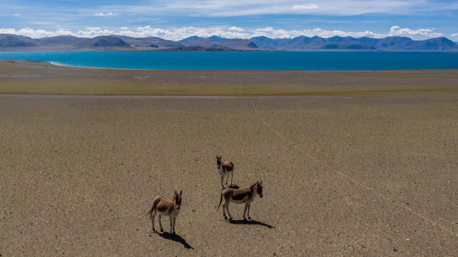 拉萨出发11日行摄自驾：喜马拉雅以南｜越野｜洛扎｜亚东｜岗巴｜珠峰｜吉隆沟｜拉萨集结11日落地自驾