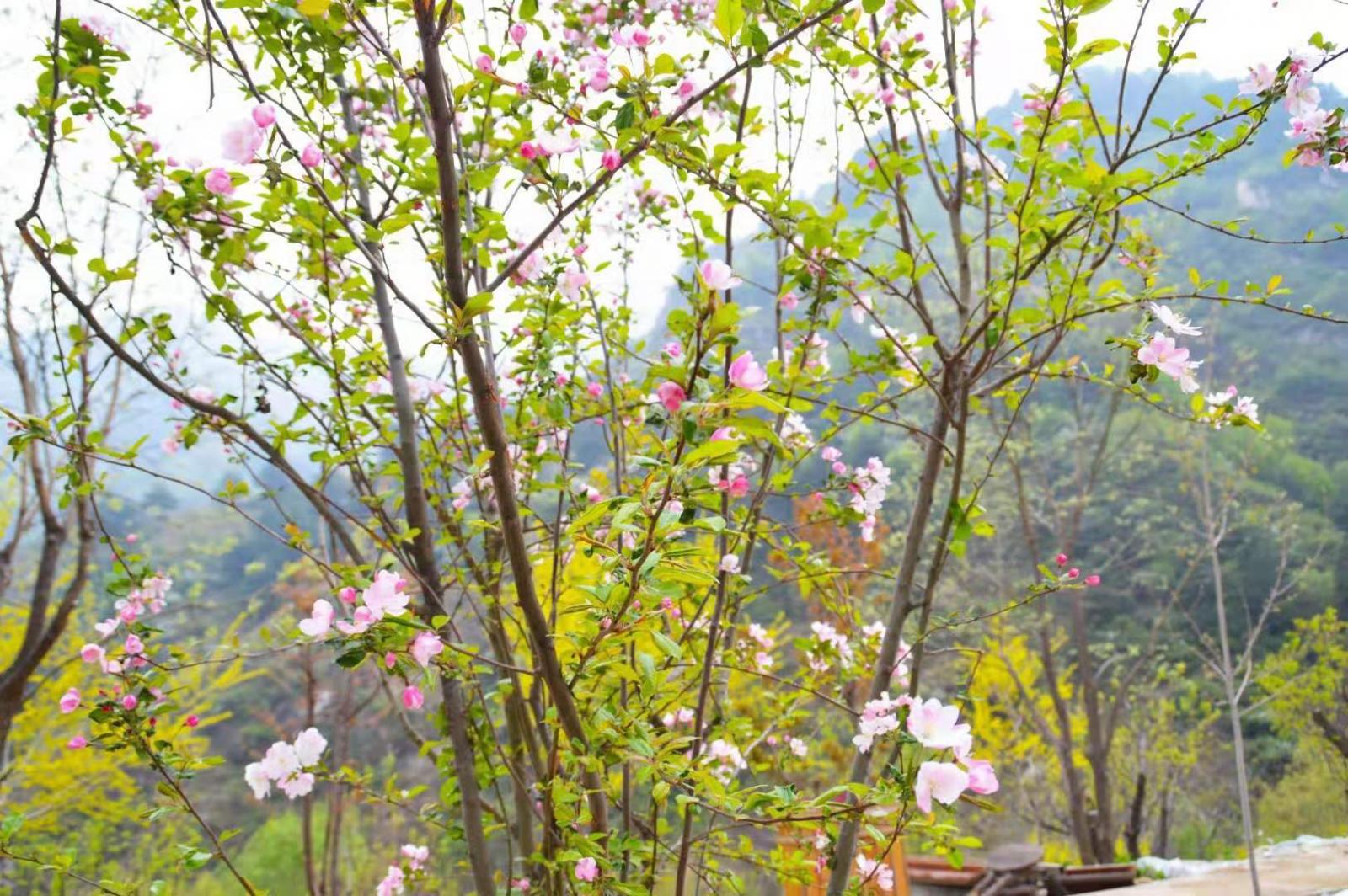 北京周边2日自驾游：五岳寨-漫山花溪谷河北2日自驾游