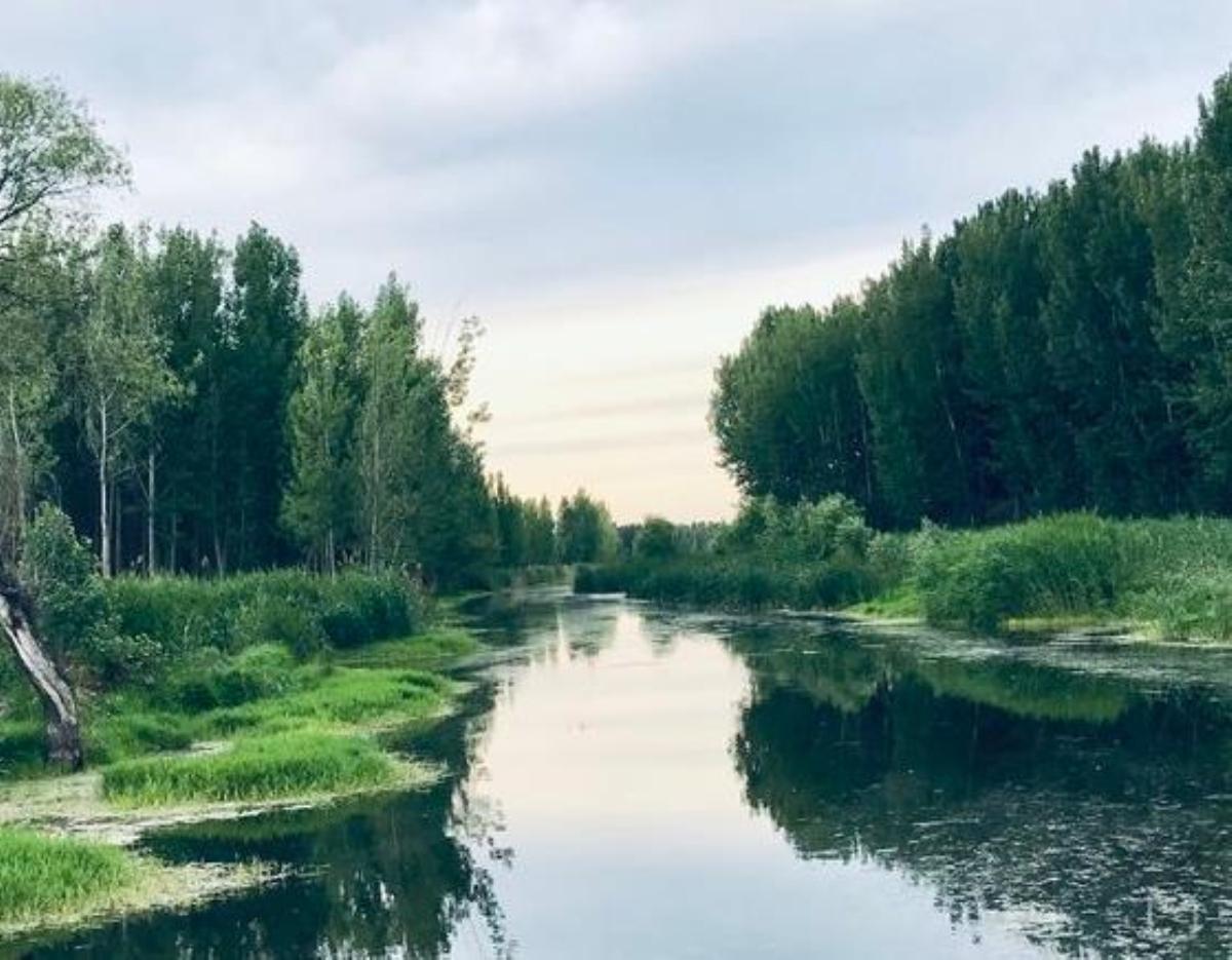 北京周边2日自驾游：白洋淀-胜芳古镇-采摘庞各庄西瓜河北2日自驾游