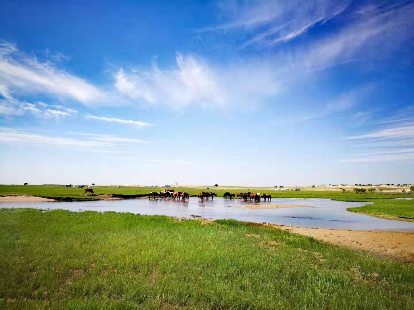 北京出发内蒙7日自驾游：黑风河-达里湖-热阿线-石林-塞罕乌拉-玉龙沙湖7日自驾游