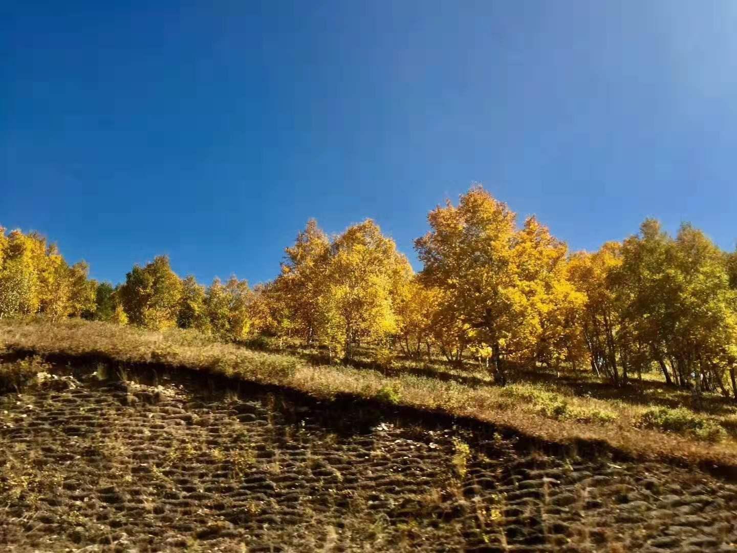 北京出发内蒙5日自驾游：热阿线-达达线-翁跟毛都-西拉木沦大峡谷5日自驾游