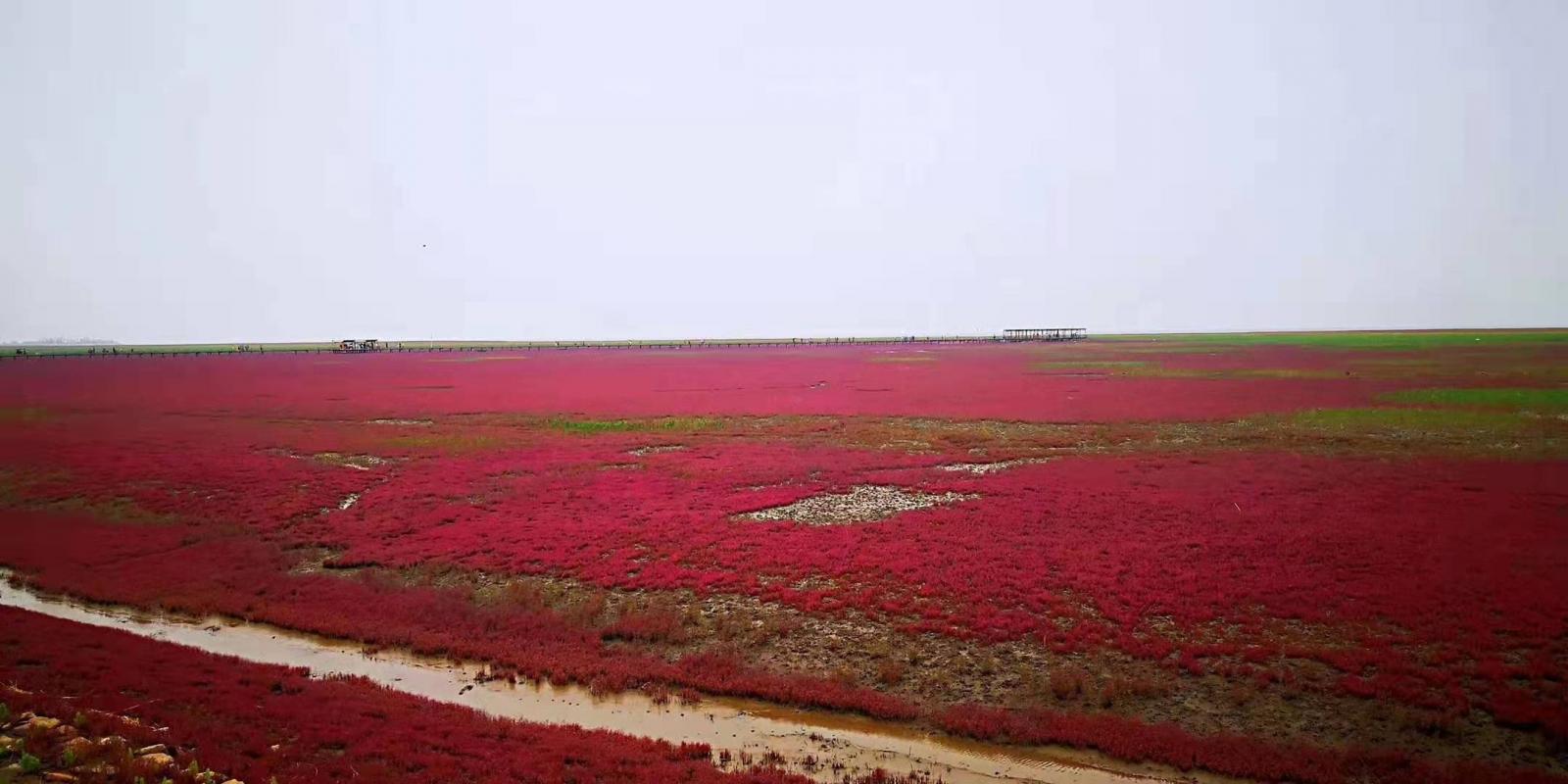 北京出发东北4日自驾游：兴城古城-红海滩国家风景廊道-大黑山国家森林公园4日自驾游
