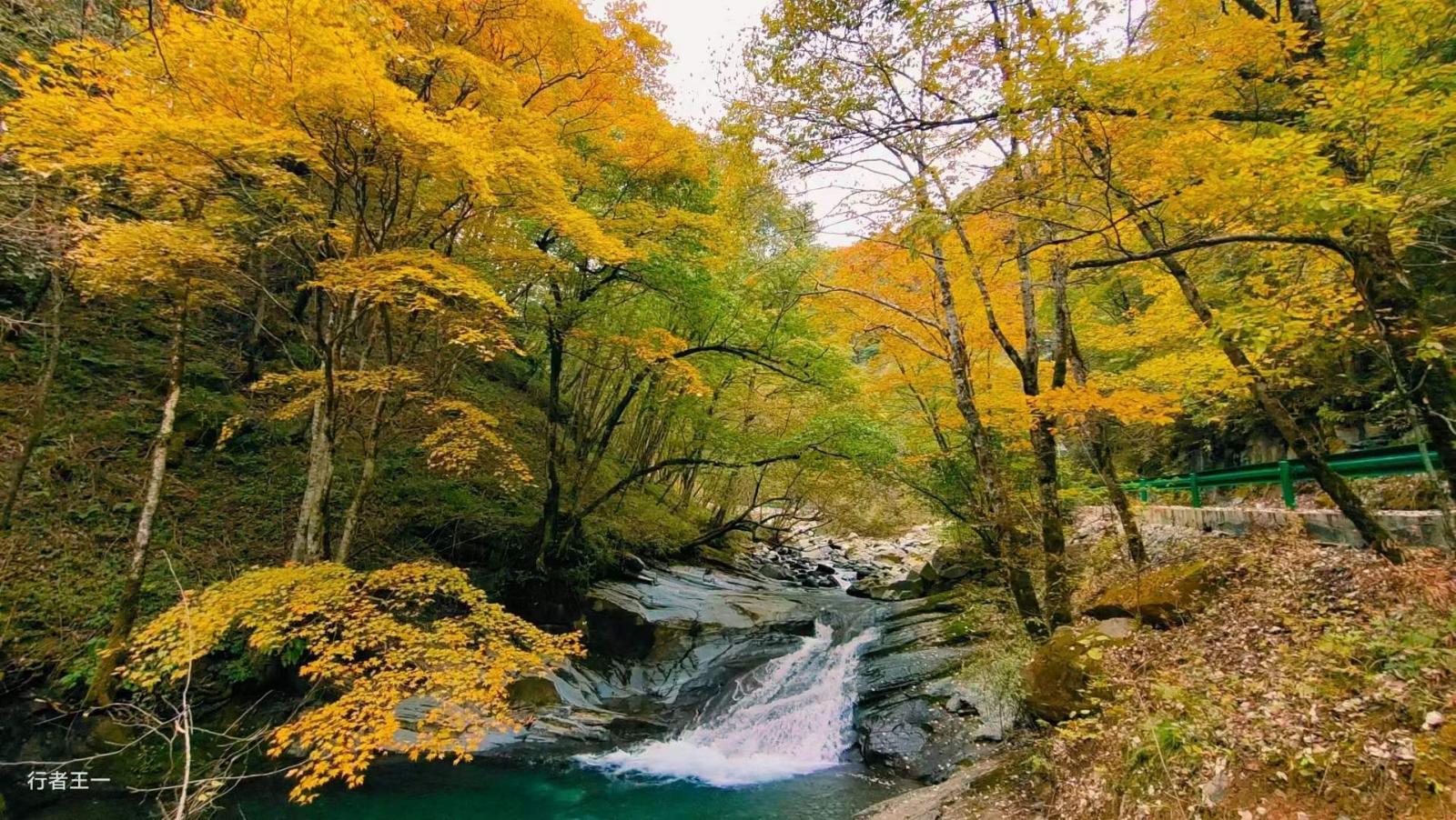 金秋重庆周边3日自驾游：金秋城口县北极彩林红叶环线-大巴山秘境穿越3日自驾