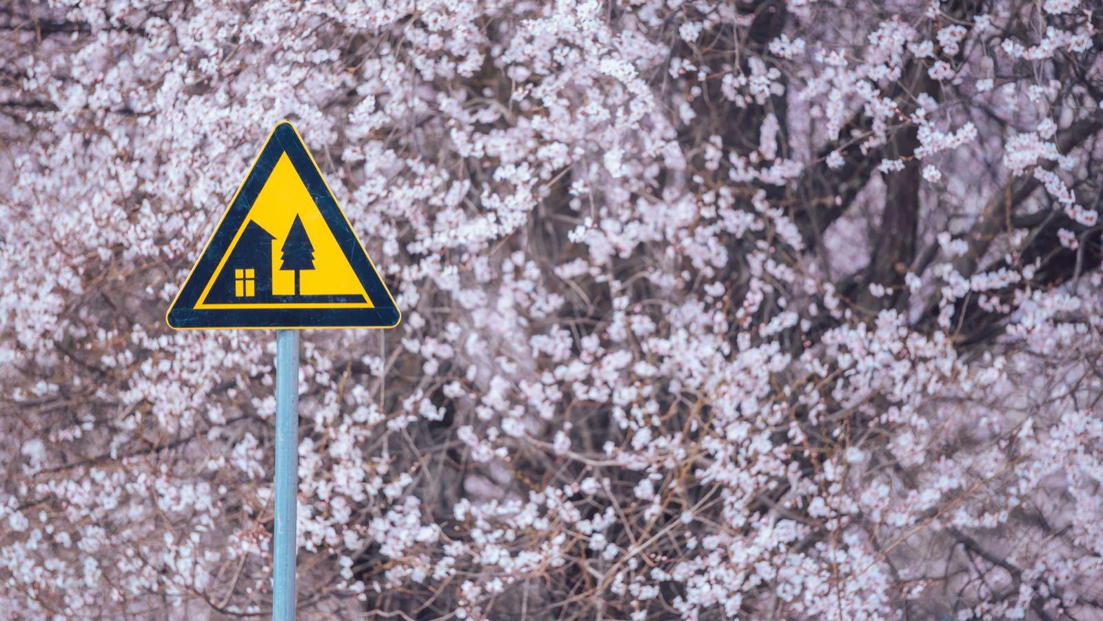 全国出发林芝桃花8日自驾：嘎拉村-巴松措-雅鲁藏布江大峡谷-嘎隆拉冰川-来古冰川-然乌湖-雅尼湿地8日落地自驾游