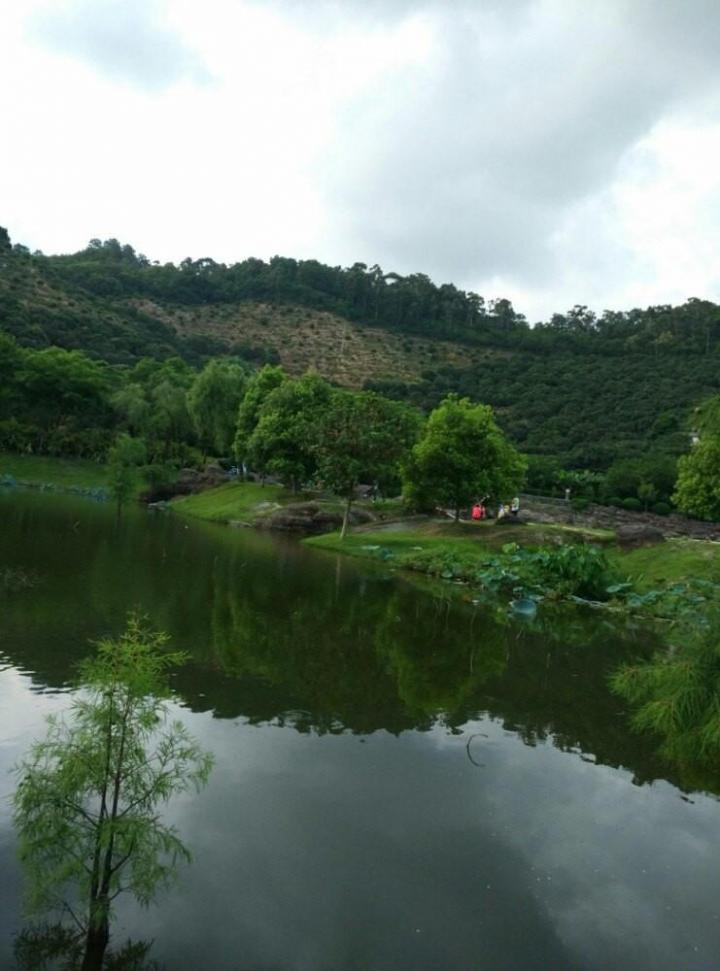 虎门石洞森林公园在东莞虎门镇境内,它其实-东莞自驾