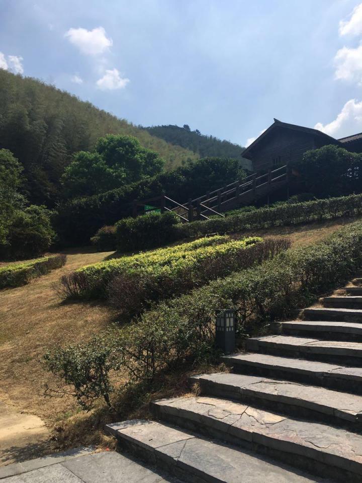南山竹海第二次去了,特别喜欢,竹林景色秀丽,上山的时候爬上去的,不算
