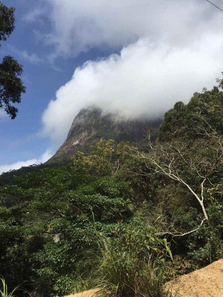 前往尖峰岭国家森林公园的路上山路十八弯,一路欣赏的