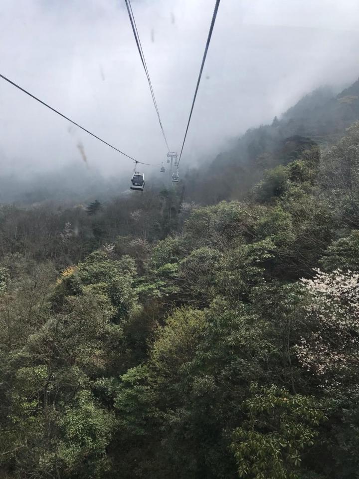温汤去明月山坐118路到底就是明月山 车票3元 携程上约定105元 上山
